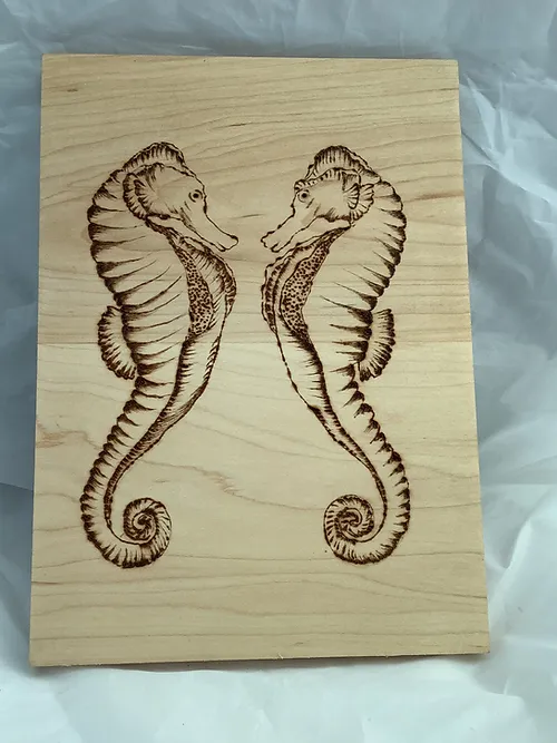 Affectionate Seahorses